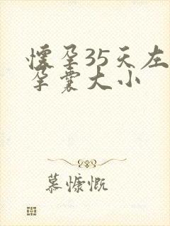 怀孕35天左右孕囊大小