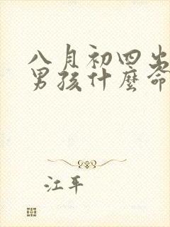 八月初四出生的男孩什么命封面