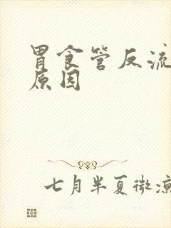 胃食管反流什么原因