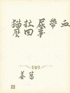 猫拉尿带血是怎么回事