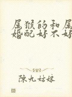 属猴的和属鸡的婚配好不好