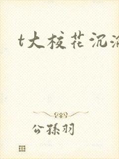 t大校花沉沦封面