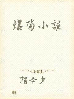 爆菊小说