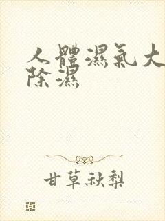 人体湿气大怎么除湿