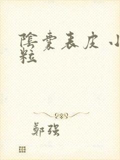 阴囊表皮 小肉粒封面