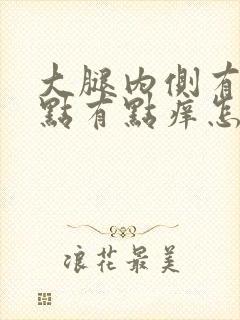 大腿内侧有红点点有点痒怎么回事