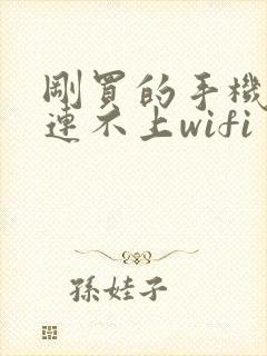 刚买的手机怎么连不上wifi