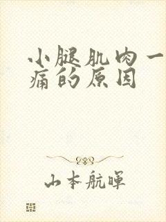 小腿肌肉一直酸痛的原因