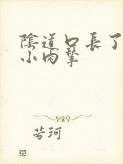 阴道口长了好多小肉揪