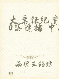 大案录纪实100集连播 中国大案录