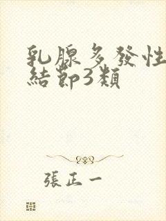 乳腺多发性实性结节3类