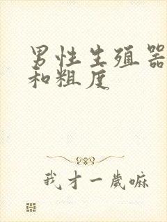 男性生殖器长度和粗度