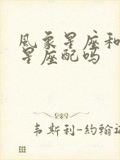 风象星座和火象星座配吗