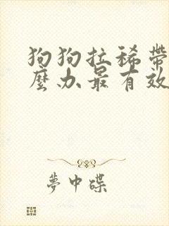 狗狗拉稀带血怎么办最有效的方法