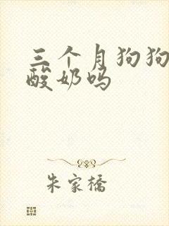 三个月狗狗能喝酸奶吗封面