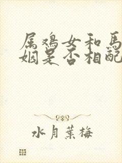 属鸡女和马男婚姻是否相配封面