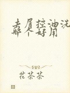 去屑控油洗发水哪个好用