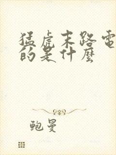 猛虎末路电影讲的是什么