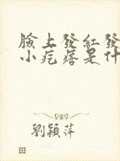 脸上发红发痒有小疙瘩是什么原因