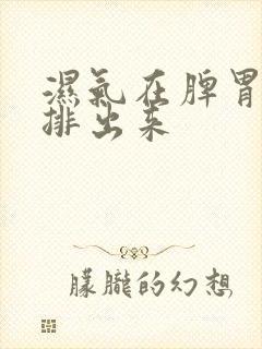 湿气在脾胃怎么排出来