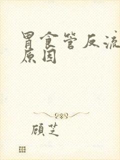 胃食管反流什么原因