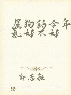 属狗的今年的运气好不好