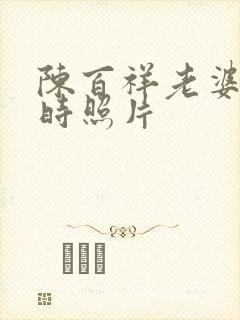 陈百祥老婆年轻时照片