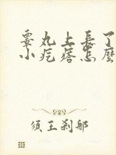 睾丸上长了一个小疙瘩怎么回事