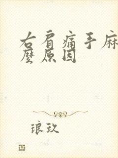 右肩痛手麻是什么原因