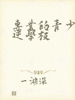 专业的青少年叛逆学校