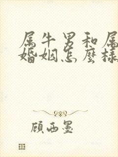 属牛男和属龙女婚姻怎么样