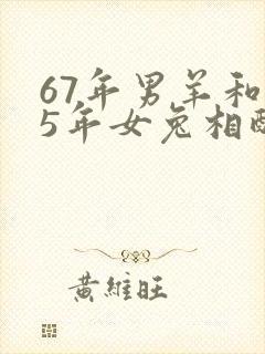 67年男羊和75年女兔相配婚姻如何