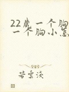 22岁一个胸大一个胸小怎么办封面