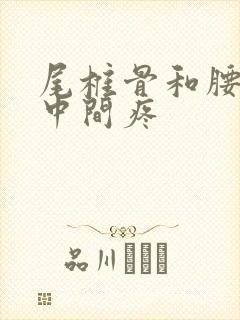 尾椎骨和腰椎骨中间疼