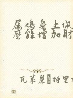 属鸡身上佩戴什么能增加财运