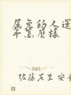 属兔的人运气今年怎么样封面