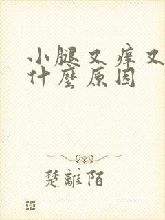 小腿又痒又胀是什么原因