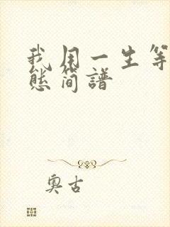 我用一生等你动态简谱