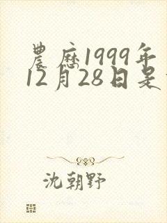 农历1999年12月28日是什么星座