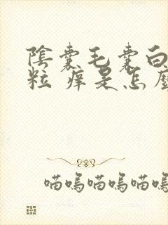 阴囊毛囊白色颗粒 痒是怎么回事