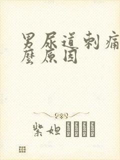 男尿道刺痛是什么原因