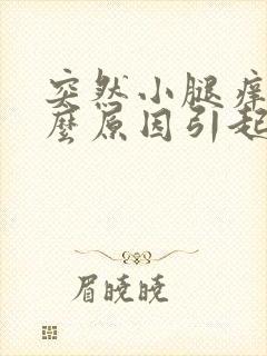 突然小腿痒是什么原因引起的