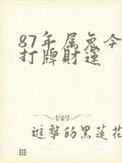 87年属兔今天打牌财运