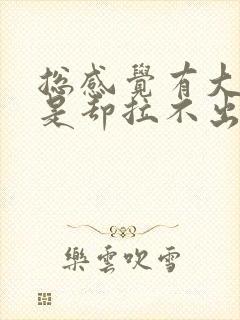 总感觉有大便但是却拉不出来还放屁