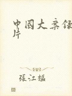 中国大案录纪实片