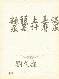 额头上长满了痘痘是什么原因