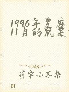 1996年农历11月的鼠是什么命封面