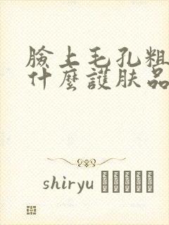 脸上毛孔粗大用什么护肤品可以改善