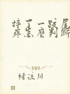 摔了一跤尾椎骨疼怎么判断骨折了封面