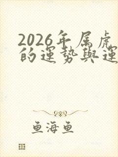 2026年属虎的运势与运程